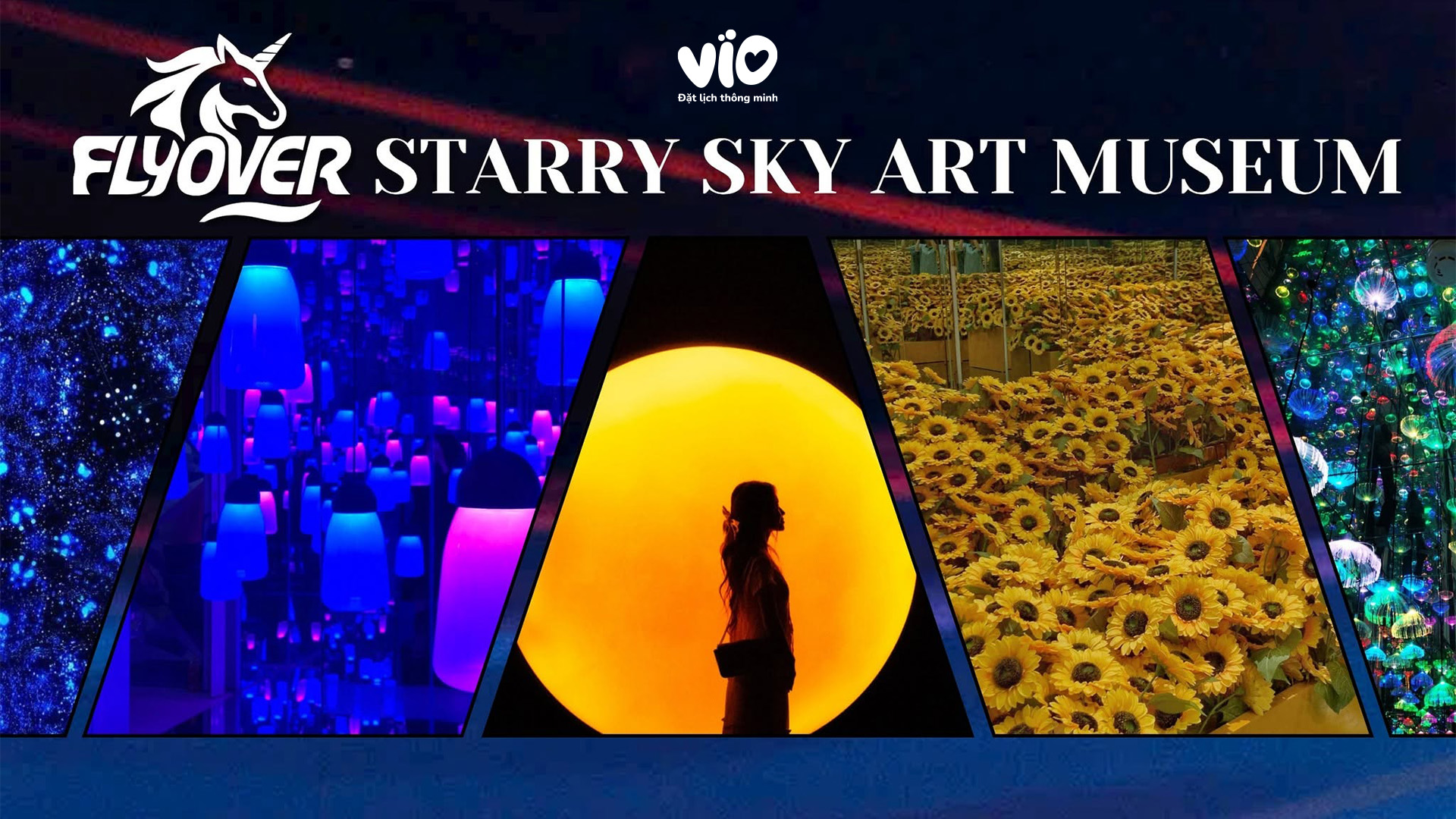 Flyover Starry Sky Art Museum: A Light Art Exhibition