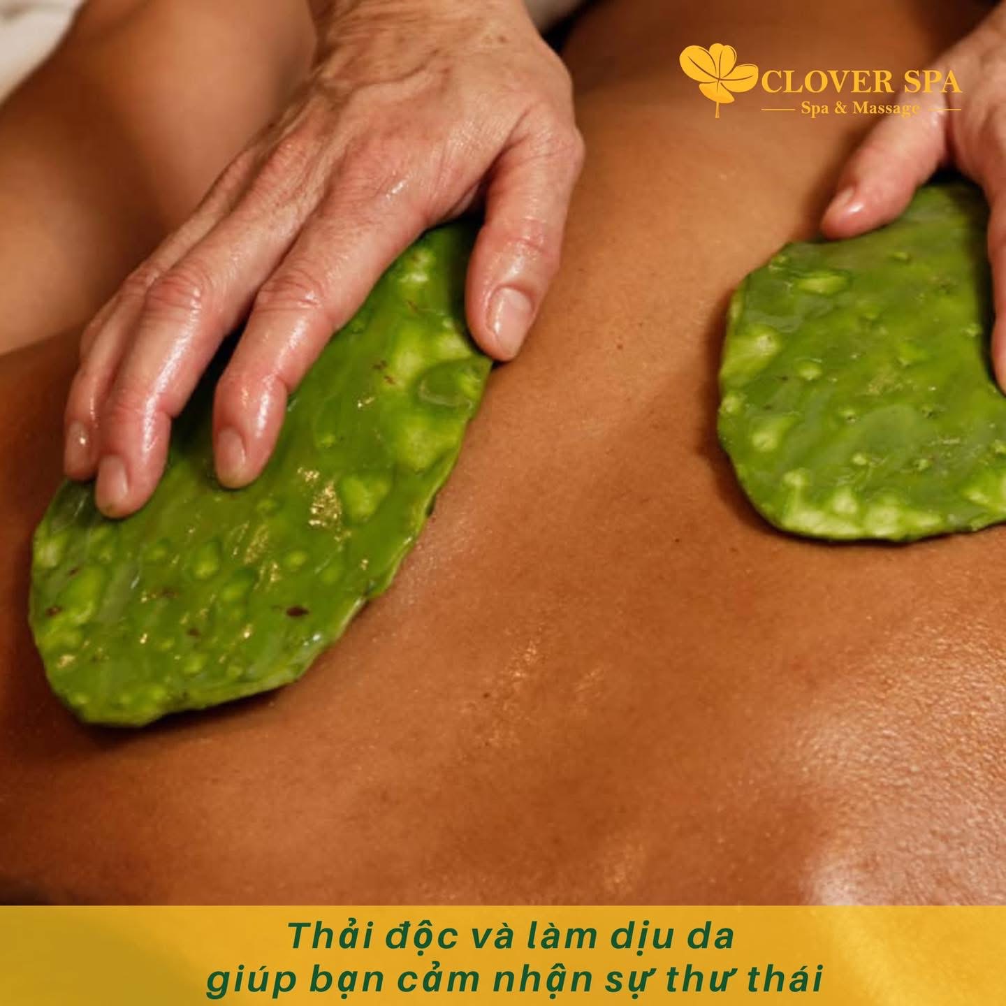 Massage Xương Rồng