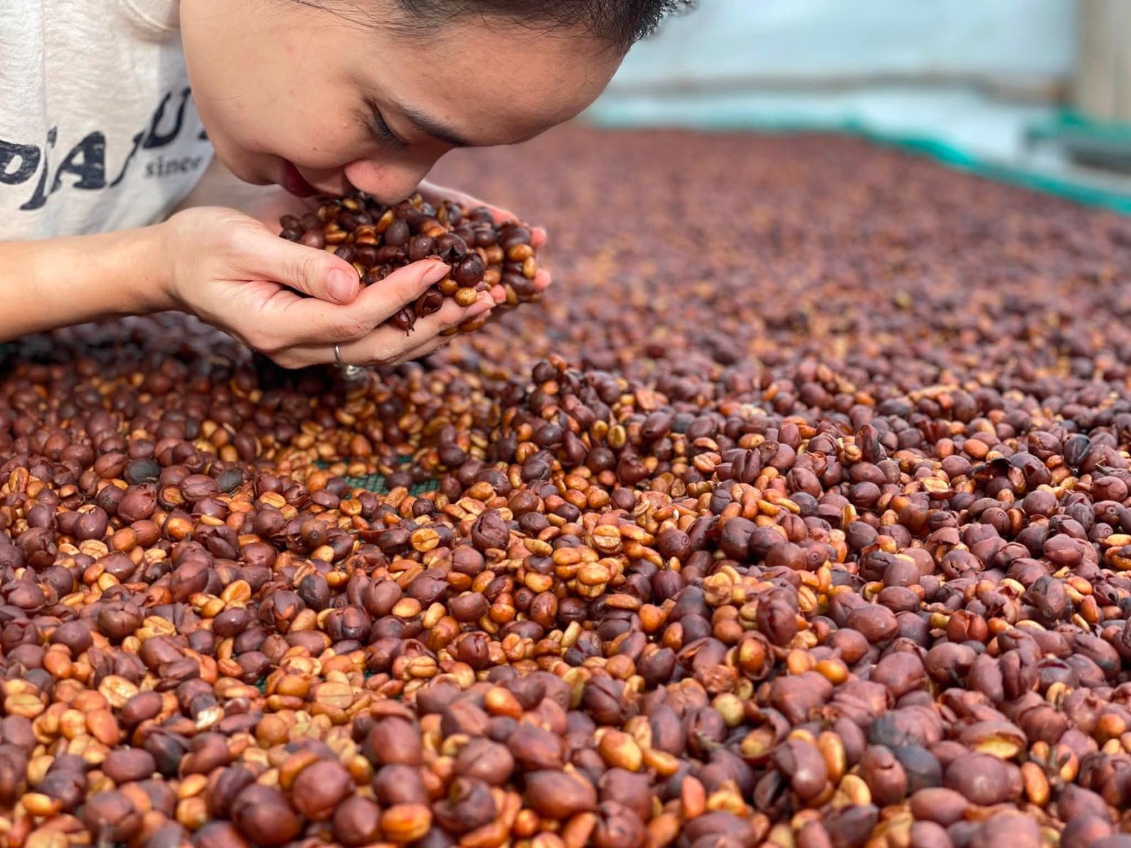 Omakase Ca Phe: 90 Minutes, 5 Exceptional Coffees to Discover