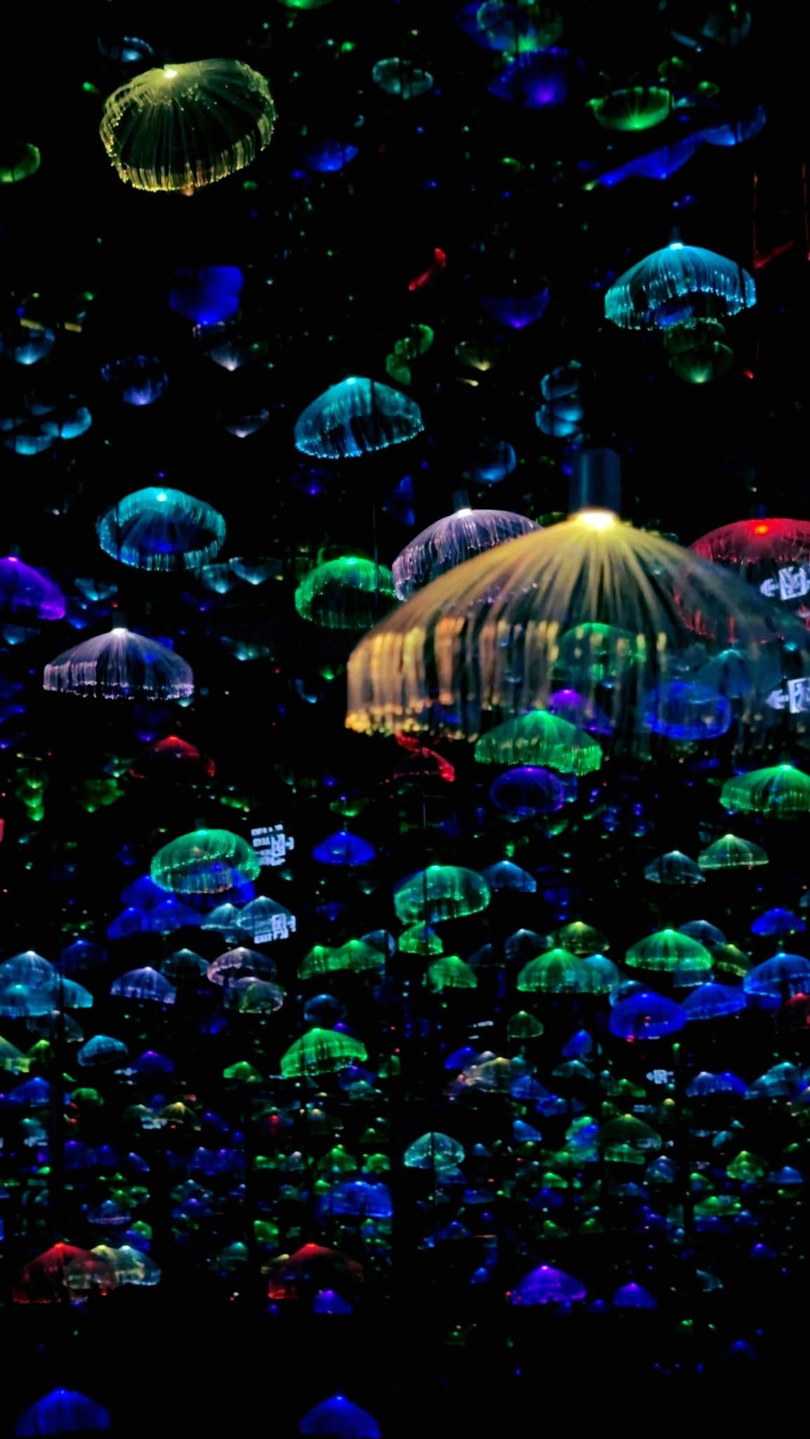 Event image 11