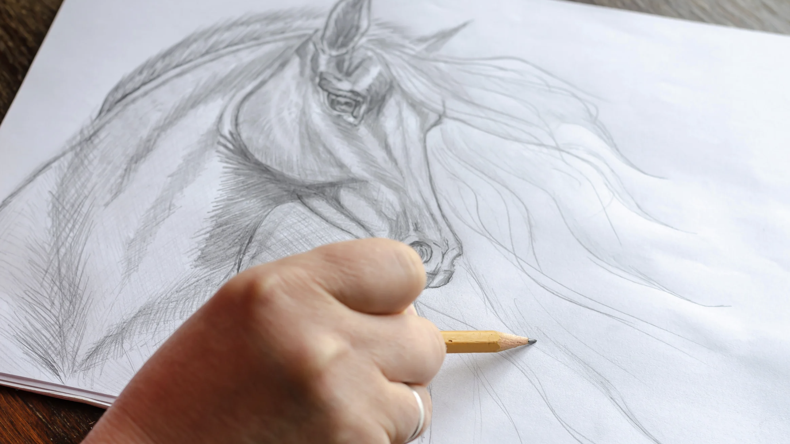 Still-Life Drawing