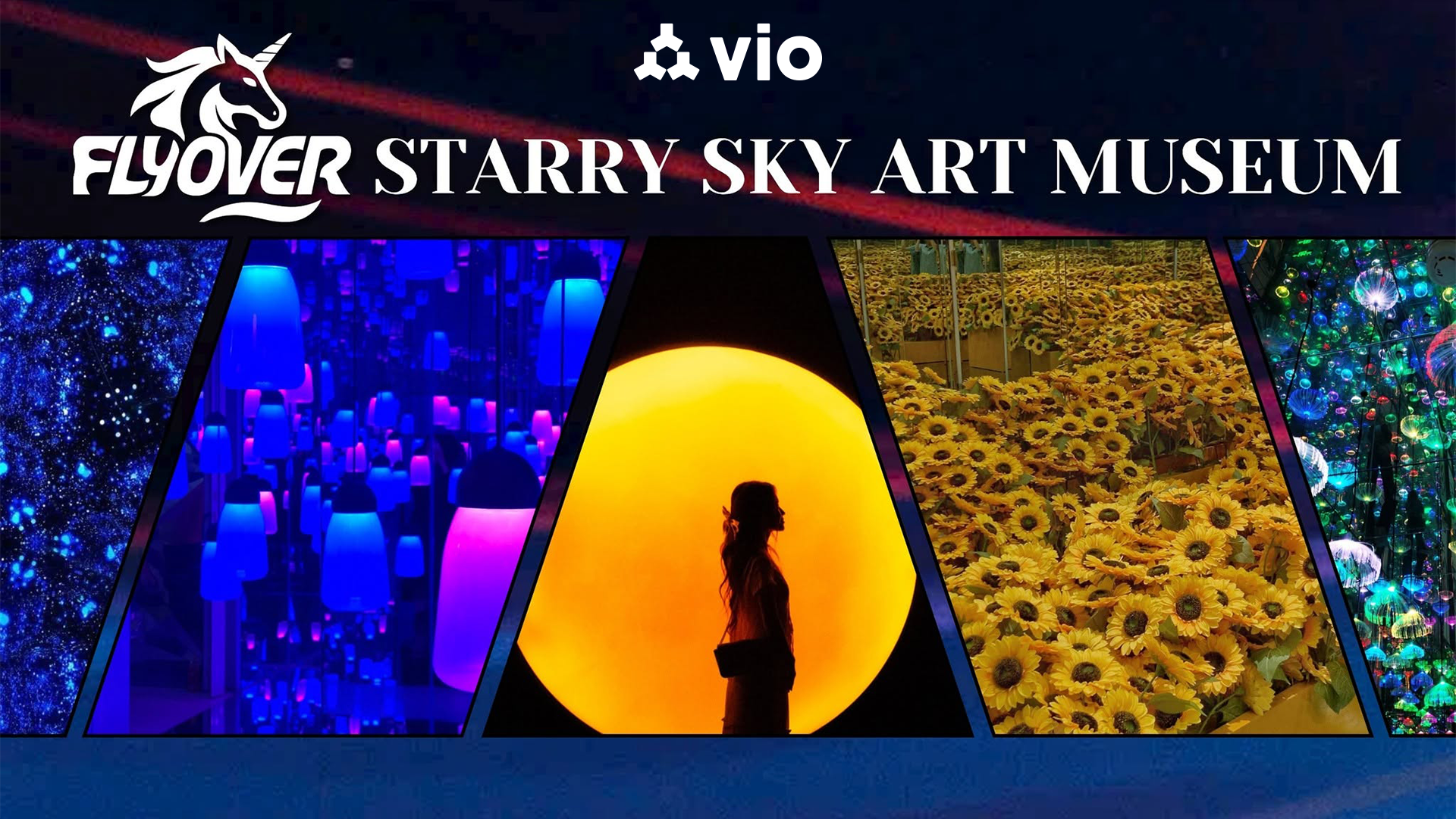 Flyover Starry Sky Art Museum: A Light Art Exhibition