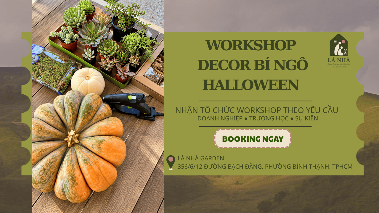 Lá Nhà Garden: Workshop Decor Bí Ngô Halloween