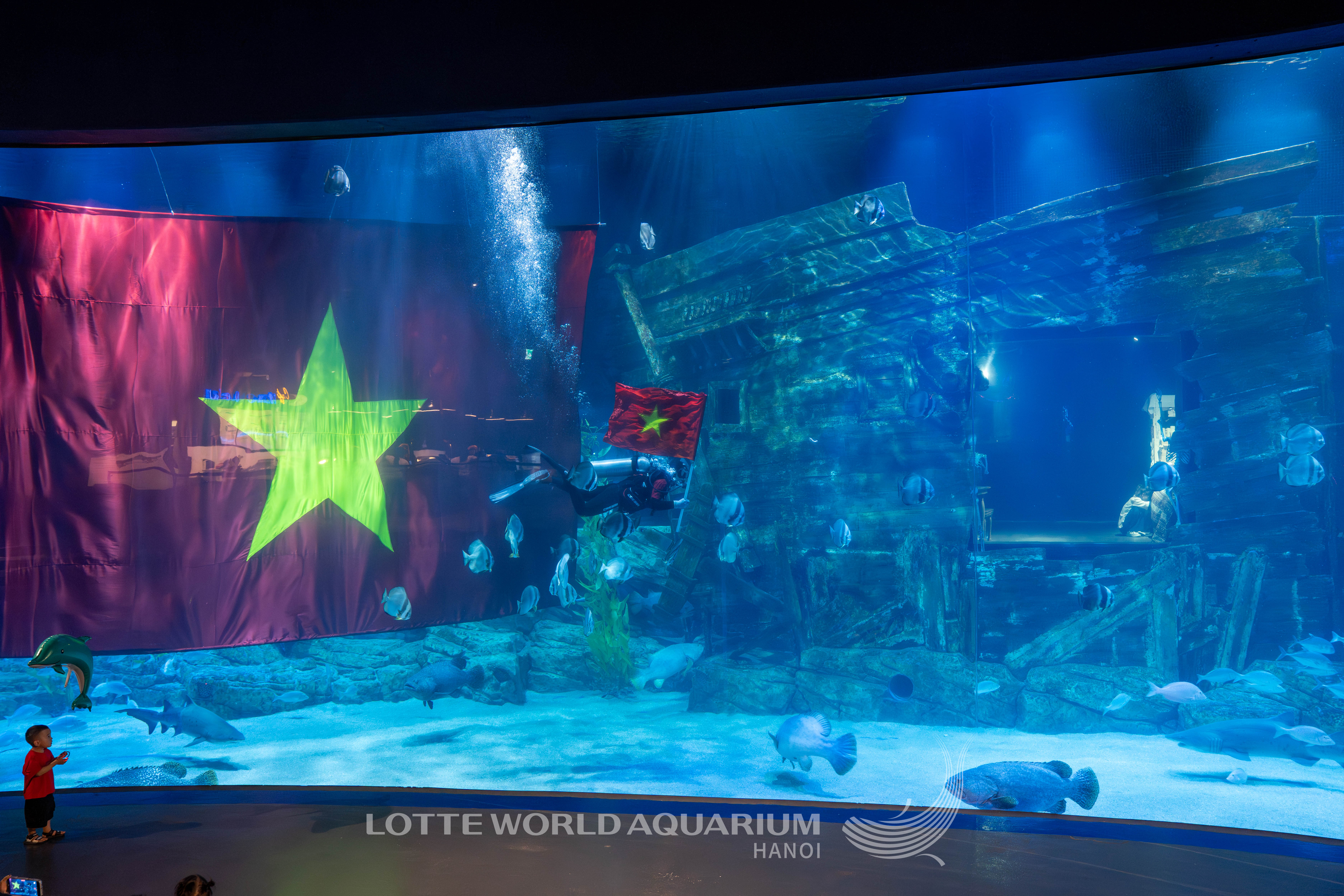 Thuỷ cung Lotte World Hà Nội